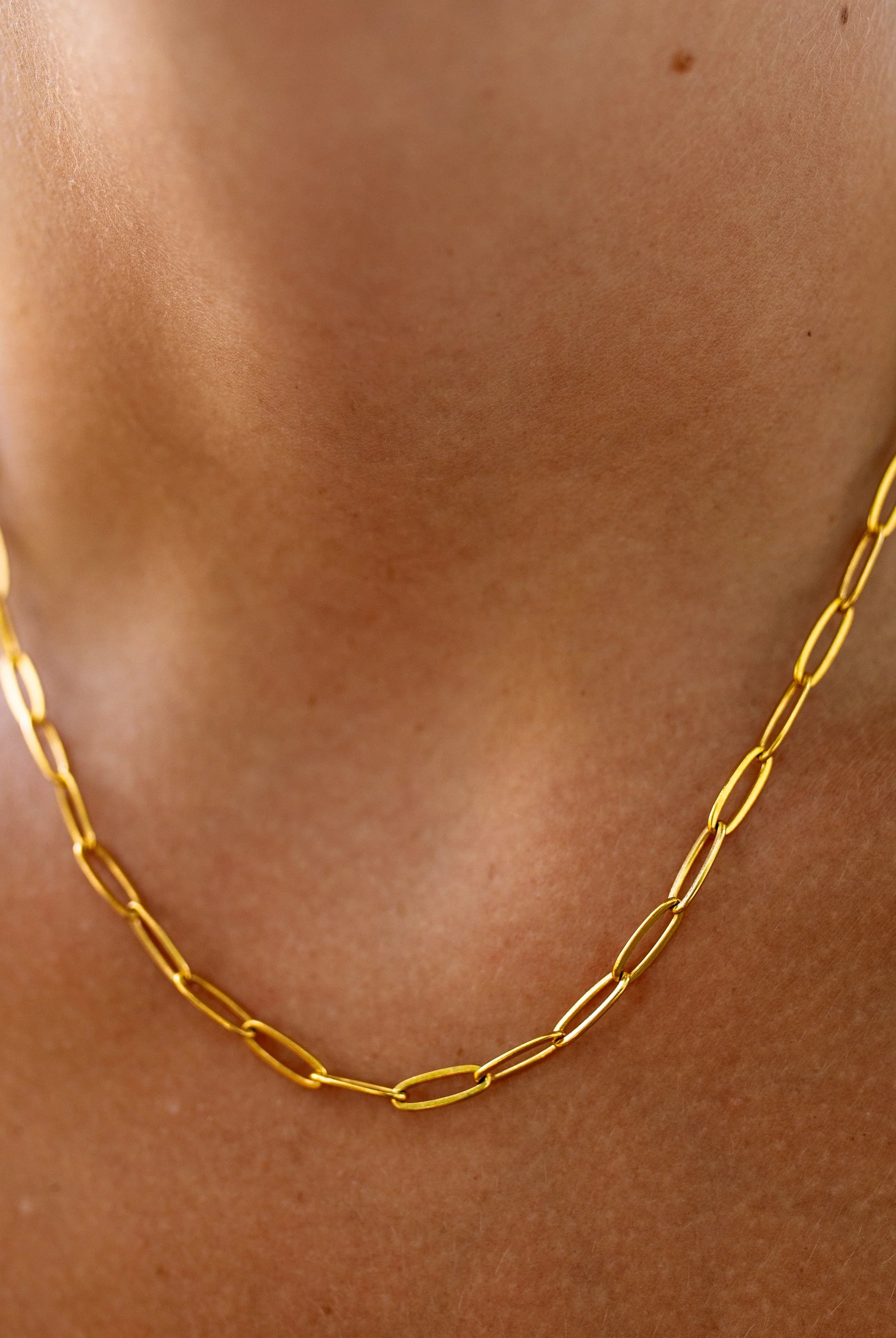 Gold paperclip chain necklace worn around the neck with a lobster clasp closure.