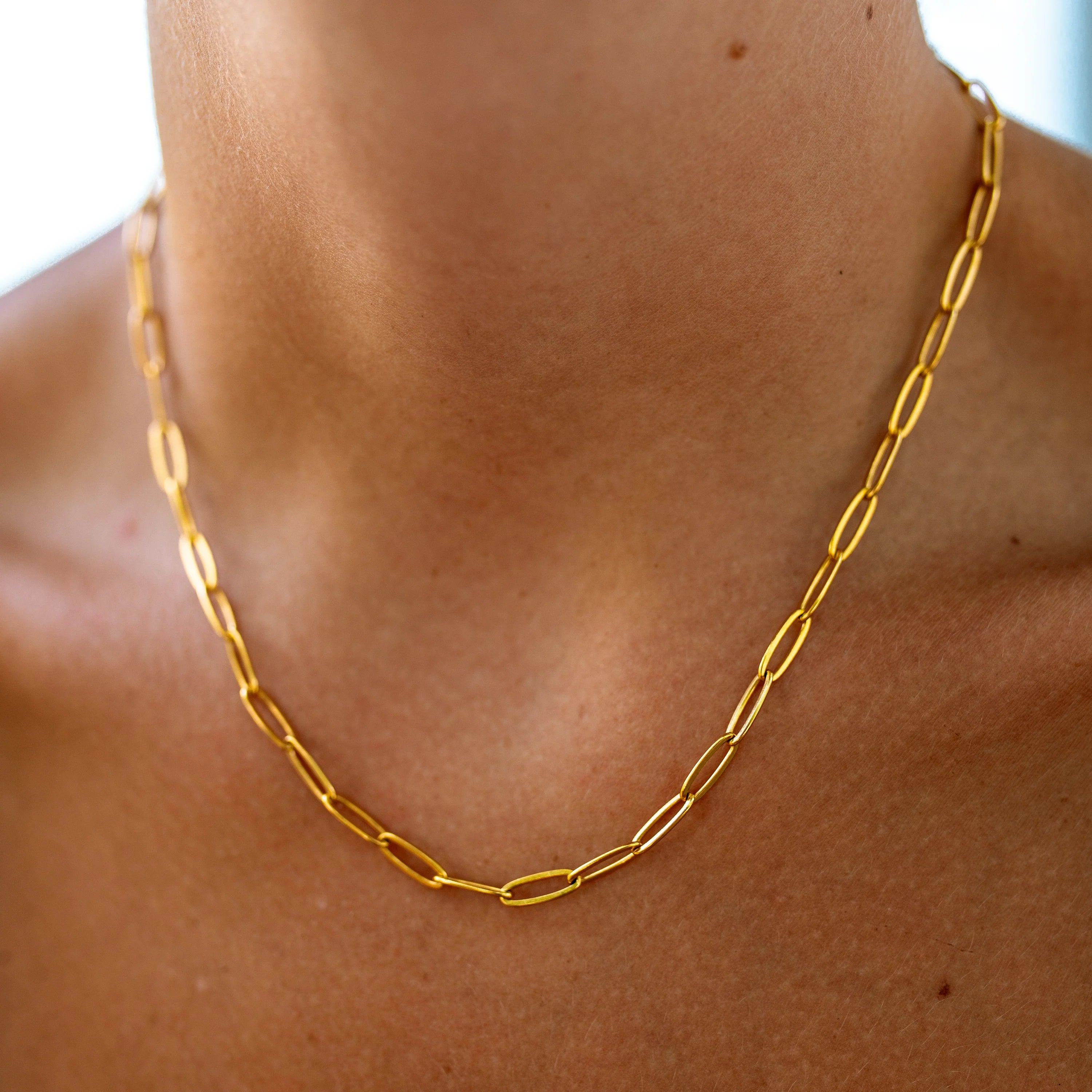 Gold paperclip chain necklace worn around the neck with a lobster clasp closure.